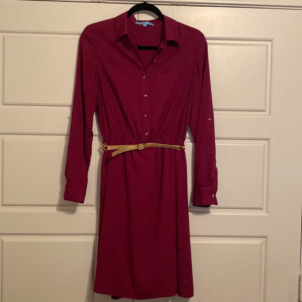 Pink Antonio Melani Collared Button Up Dress with Gold Details